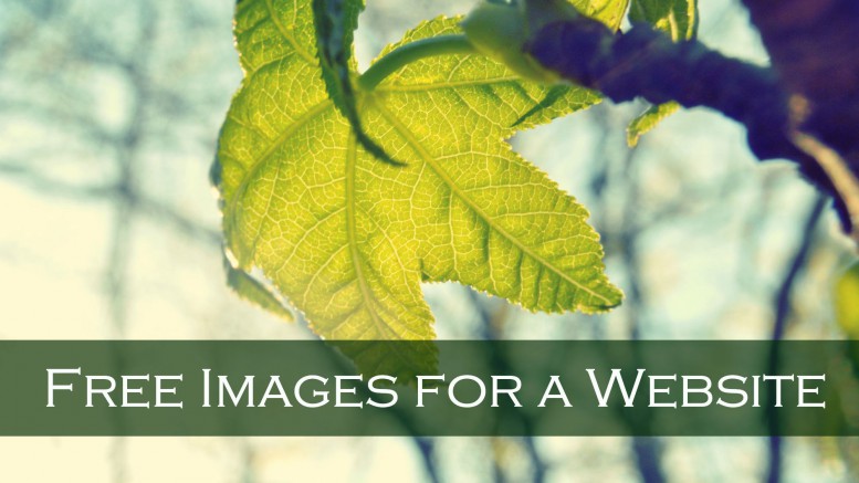 how to get free images for a website