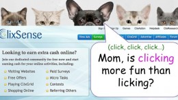 what is the clixsense popularity all about